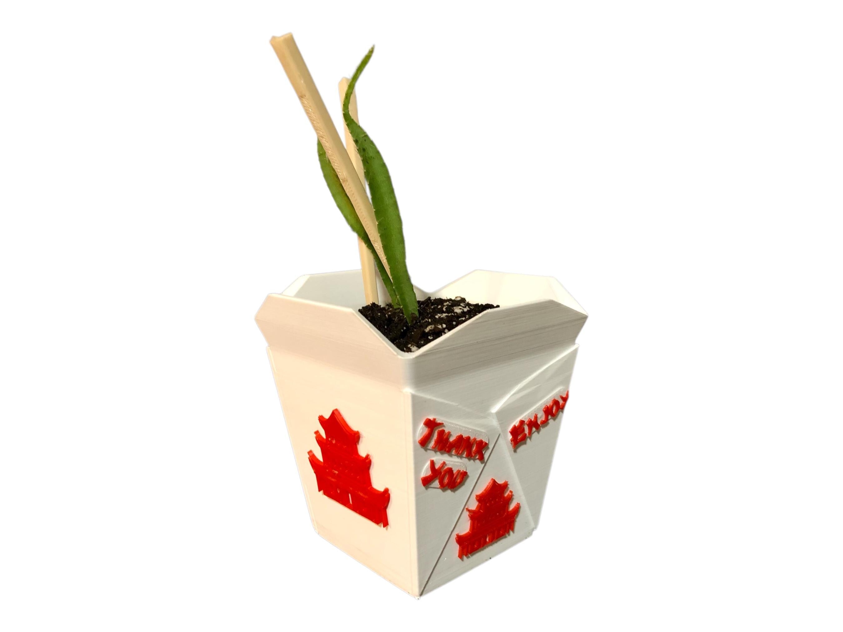 Potted plant in a white Chinese takeout box with red text on a white background