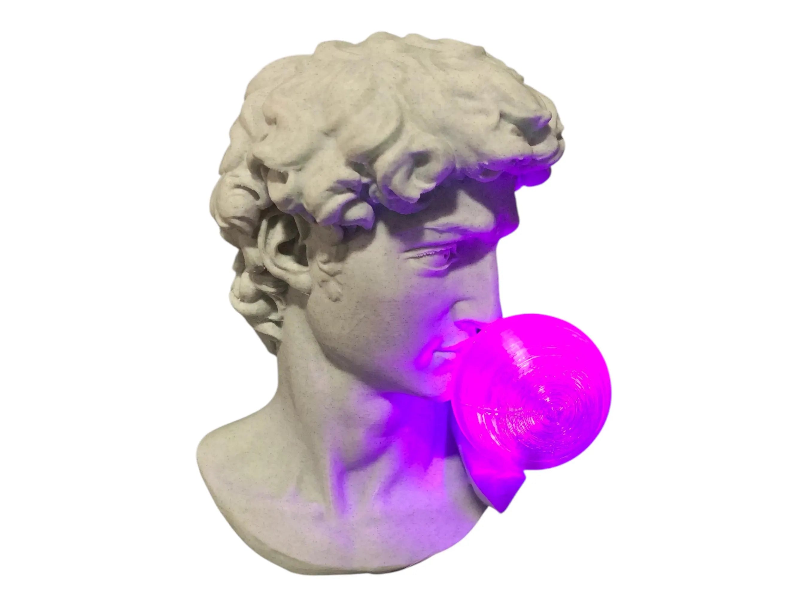 DAVIDBUBBLEGUMBUST3