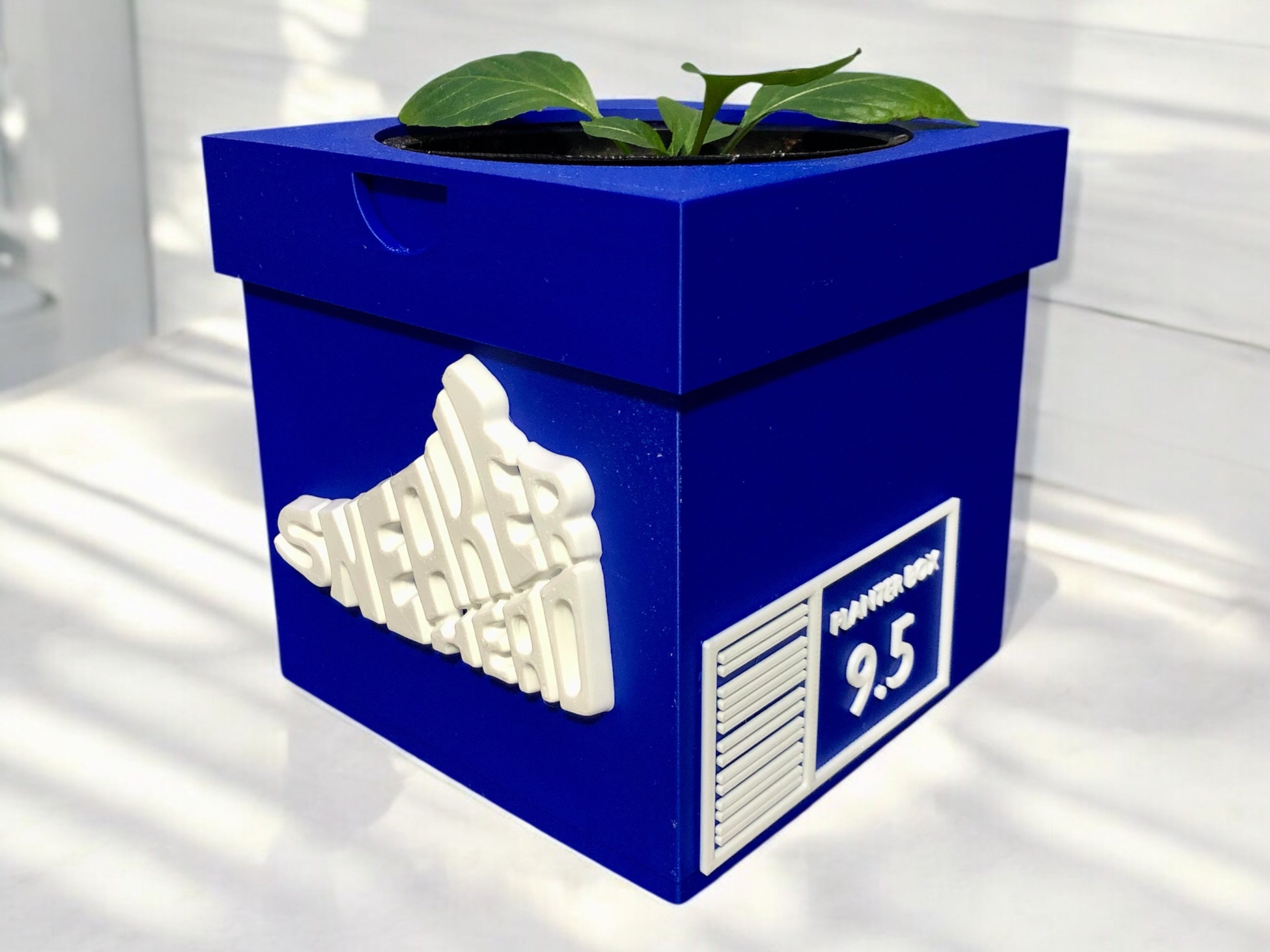 HYPEBEASTPLANTER1