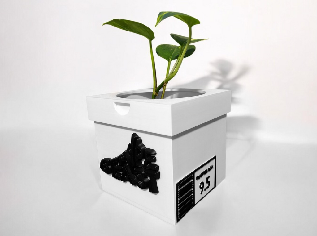 HYPEBEAST SHOEBOX PLANTER SNEAKERHEAD