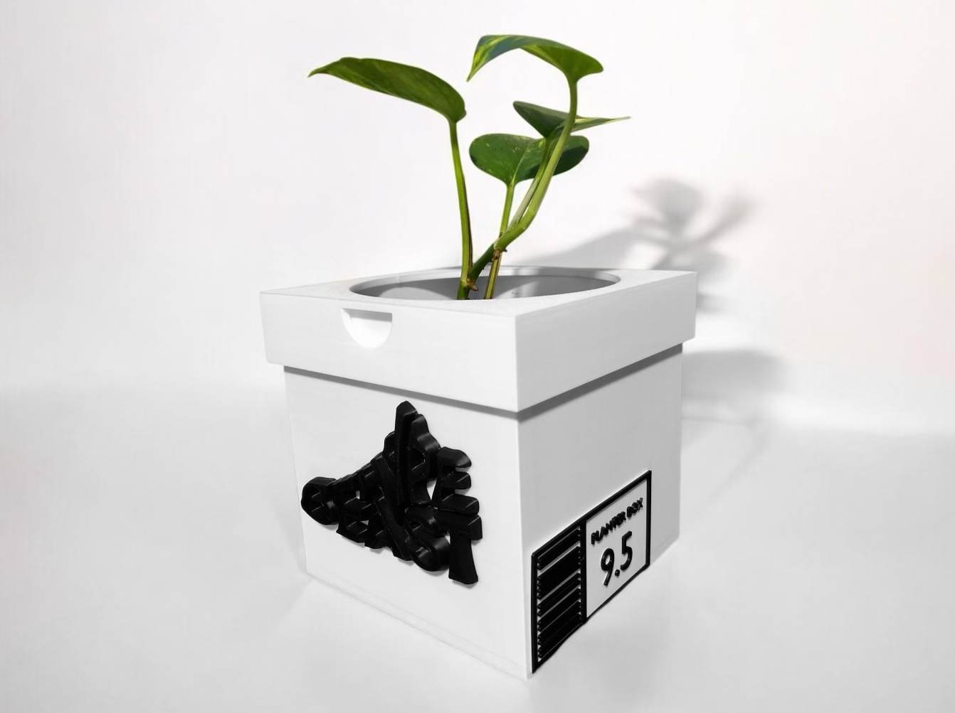 HYPEBEAST SHOEBOX PLANTER SNEAKERHEAD